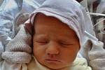 Natálie Laiblová se narodila 29. září v 15:01 mamince Marii a tatínkovi Milošovi. Po příchodu na svět v plzeňské fakultní nemocnici vážila sestřička čtyřleté Viktorky 3270 gramů a měřila 49 centimetrů