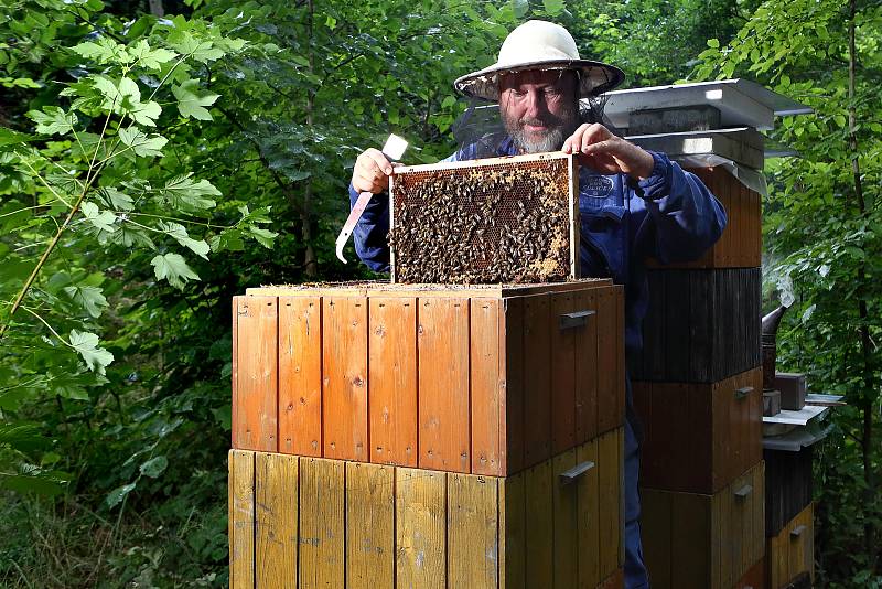 02 - Z úlů se postupně vyndavají plásty s medem a zároveň se kontroluje stav včelstva.
