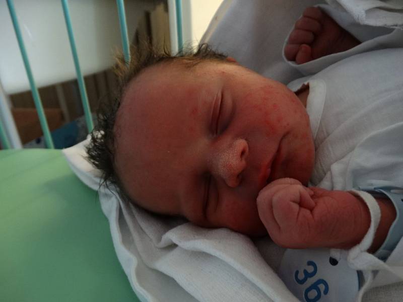 29. listopadu ve 13:35 se v porodnici U Mulačů narodil Oliver Nikolić. Po porodu vážil první potomek maminky Nataši a tatínka Oldřicha z Plzně 3050 gramů a měřil 48 cm.