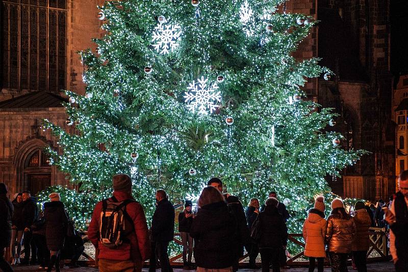 Rozsvícení vánočního stromu na náměstí Republiky v Plzni.