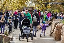 K oslavám vzniku republiky se po roce opět připojila i plzeňská Zoologická a botanická zahrada společně s Dinoparkem.