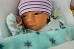 David Fajfr se narodil 2. července ve 21:19 mamince Karolíně a tatínkovi Radkovi z Plzně. Po příchodu na svět ve Fakultní nemocnici v Plzni na Lochotíně vážil jejich prvorozený synek 2600 gramů.