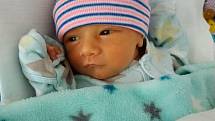 David Fajfr se narodil 2. července ve 21:19 mamince Karolíně a tatínkovi Radkovi z Plzně. Po příchodu na svět ve Fakultní nemocnici v Plzni na Lochotíně vážil jejich prvorozený synek 2600 gramů.