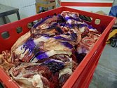 Veterinární správa označila maso neznámého původu barvou a zajistí jeho likvidaci