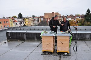 Pavel Mach a Zuzana Hrdinová na střeše základní školy ve Chválenické ulici v Plzni