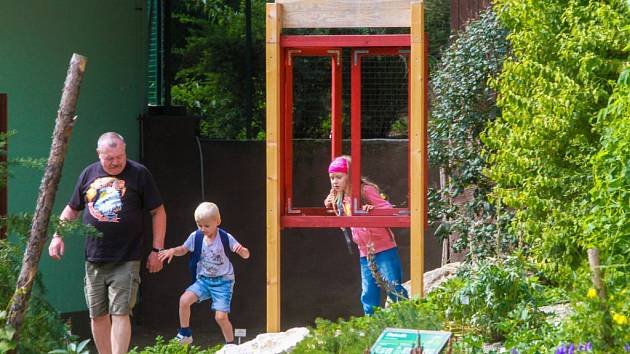 U pavilonu nosorožců se nachází nová botanická expozice Okénko do soukromí rostlin. Návštěvníci se dozvědí, jak  rostliny cestují, rozmnožují se, chrání svoje potomstvo nebo jak hledají živiny. Lidé mohou expozicí projít nebo do ní pouze  nahlédnout