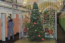 Také ve věznici v Plzni na Borech se chystají na Vánoce. Výzdobu najdete ale jen na několika místech.