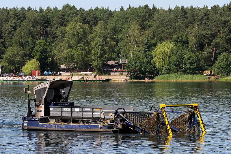 Žací stroj Harvester seče vodní rostliny a tím zlepšuje prostředí pro koupající se plavce.