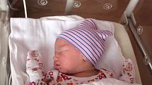 Elena Šeflová se narodila 31. prosince ve 12:36 mamince Evě a tatínkovi Michalovi ze Stupna. Po příchodu na svět v porodnici FN na Lochotíně vážila jejich prvorozená dcerka 3126 gramů.