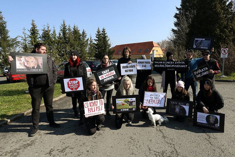 Protest veganů proti provozu jatek.