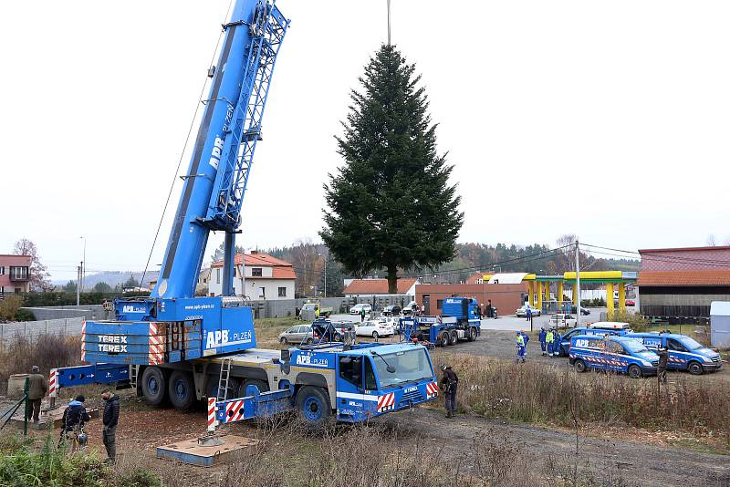 vánoční strom pro Plzeň soukromá zahrada Kařez