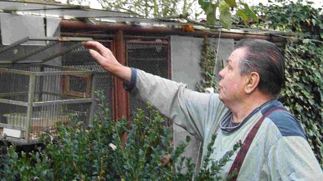 Zařízení na odchyt ptactva, které má na své zahradě Jaroslav Sojka z Blatnice u Nýřan
