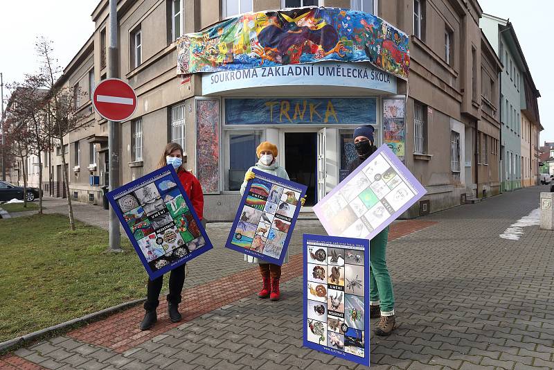 Výstava prací žáků výtvarných oborů plzeňské ZUŠ Trnka ve výlohách obchodů v Zábělské ulici. Děti tvořily v průběhu uplynulého pololetí především v rámci online výuky, doma za zavřenými dveřmi. Díky výstavě si teď jejich práce budou moci prohlédnout obyva