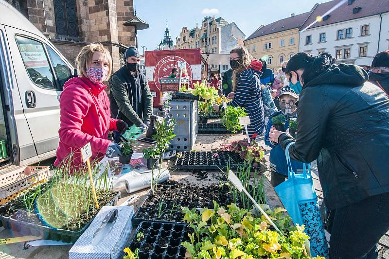 Farmářské trhy v Plzni na náměstí Republiky.