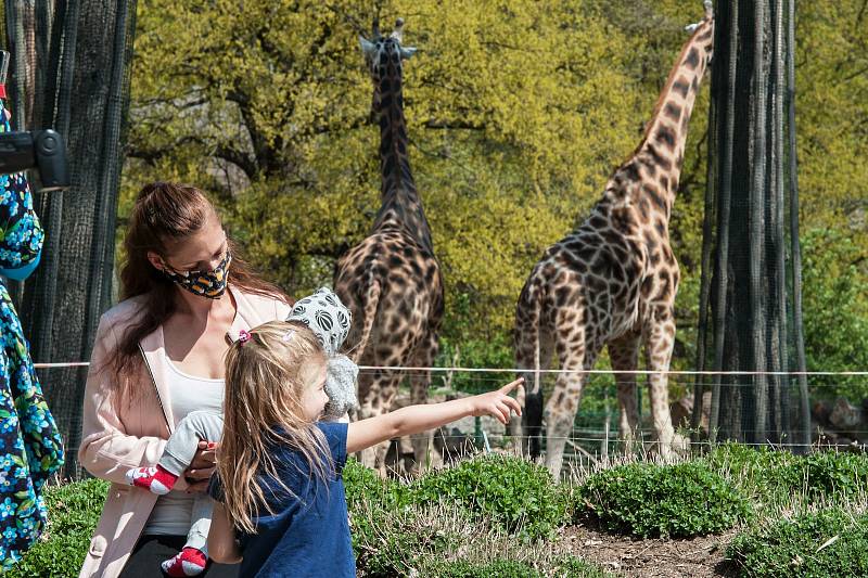 Z plzeňské zoologické zahrady.