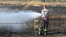 Požár pole v Plzni-Liticích