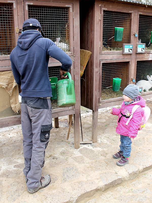 Do plzeňské zoologické zahrady dorazily jenom za sobotu více než dva tisíce návštěvníků.