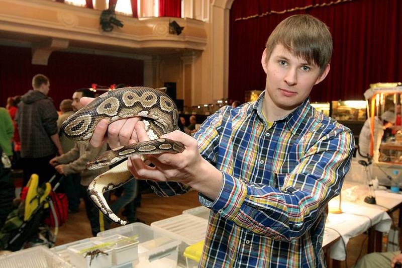 Jeden z prodejců Stanislav Kadlec ze Stříbra.