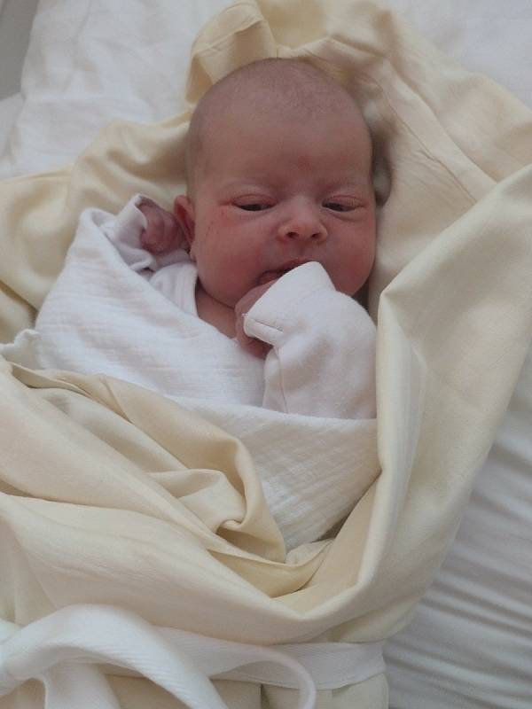 Monika Herianová se narodila 6. prosince 2021 ve Stodské nemocnici s mírami 49 cm a 3205 g rodičům Monice a Lukášovi z Chotiměře. Doma se na sestřičku těšili bráchové Lukášek, Toník a Pepa.
