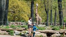 Plzeňská zoo se na Lochotíně otevřela v roce 1963. Od té doby prošla výraznou rekonstrukcí a modernizací.