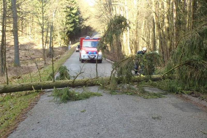 Následky silného větru v Roupově.