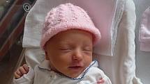 Anna (2,63 kg, 47 cm) se narodila 14. září v 18:53 v plzeňské fakultní nemocnici.Na světě svoji prvorozenou dceru přivítali rodiče Iveta a Jindřich Zenklovi z Plzně