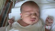 Lucii Lehánkové a Tomáši Kroupovi z Plzně se 8. prosince ve 21.37 hod. narodila ve FN prvorozená dcera Terezka (3,23 kg, 49 cm)