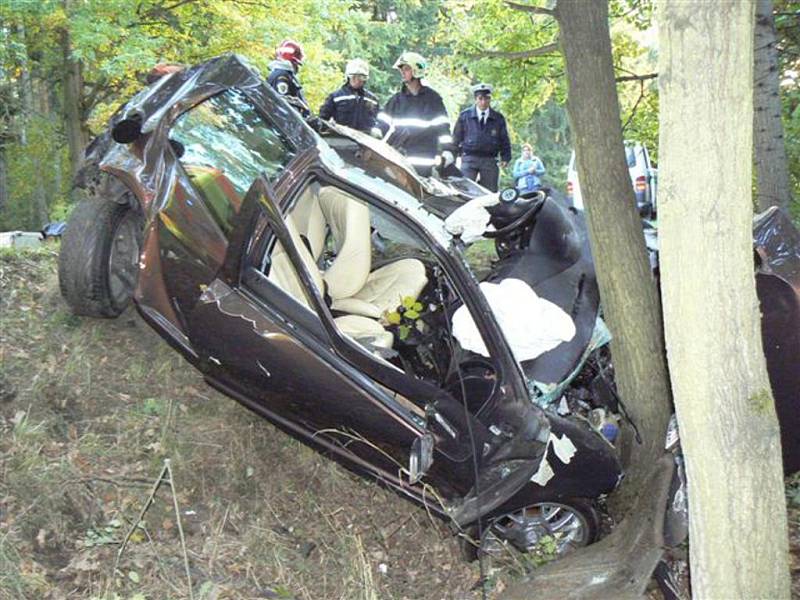 Auto po předjíždění skončilo ve stromě.