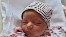 Nela Šmolíková se narodila 2. června 6 minut po půlnoci mamince Veronice a tatínkovi Janovi z Plzně. Po příchodu na svět v plzeňské FN vážila jejich prvorozená dcera 3520 gramů a měřila 51 centimetrů
