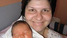 Čtyřiapůlletý Matýsek Motlík z Plešnic má velkou radost s novorozeného brášky Jeníčka (4,30 kg/52 cm), který se narodil rodičům Aleně a Josefovi 9. února sedm minut po desáté hodině dopoledne v Mulačově nemocnici