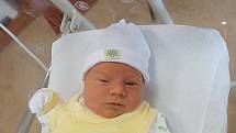 Rodiče Hana a Miroslav Hamerníkovi z Blatnice se radují z narození Miroslava (3,38 kg, 49 cm). Jejich prvorozený syn přišel na svět 12. září ve 12:53 v plzeňské fakultní nemocnici