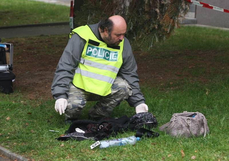 Policisté v Plzni-Lobzích vyšetřují napadení ženy. Agresor ji polil kyselinou