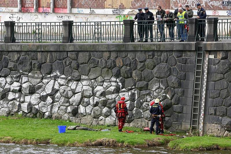 Utopeného mladíka vytáhli hasiči v pátek v jedenáct hodin dopoledne z řeky Radbuzy