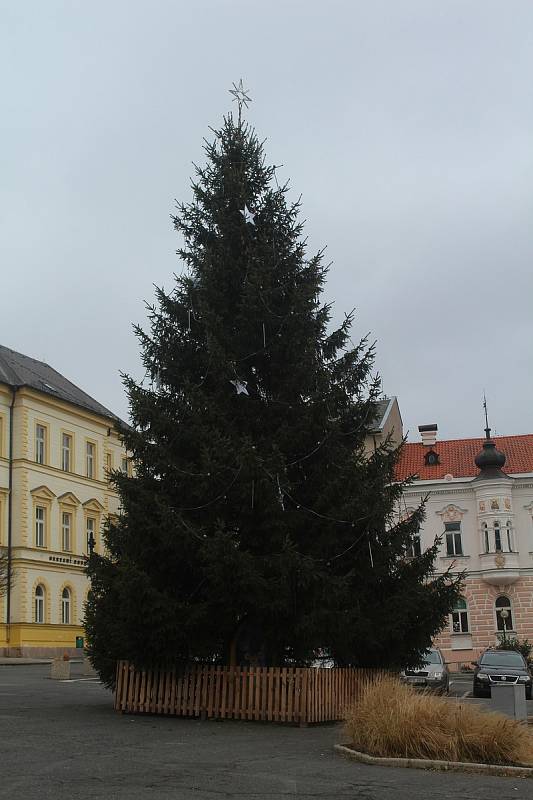 Vánoční strom na náměstí v Tachově.