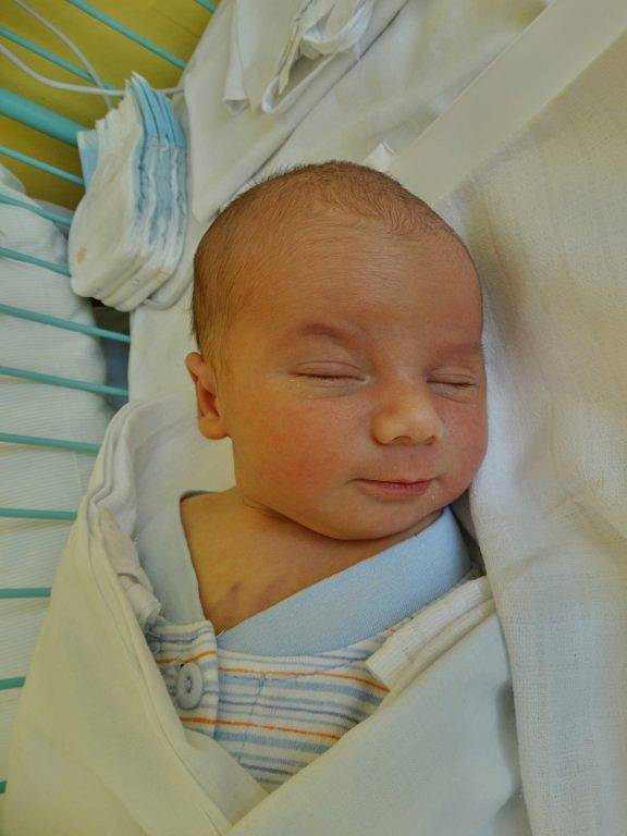 Viktor Eisenreich se narodil 11. února v 7:30 mamince Lucii a tatínkovi Viktorovi z Plzně. Po příchodu na svět v porodnici U Mulačů vážil jejich prvorozený syn 3700 gramů a měřil 53 centimetrů.