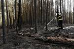 Následky požáru lesa u Chotíkova