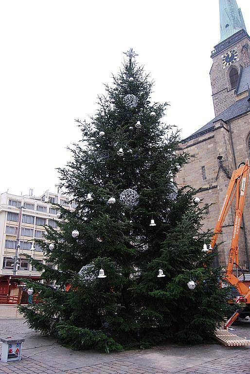 Pátek 25.11.2011, 11,00: Strom je ozdoben a připraven k rozsvícení