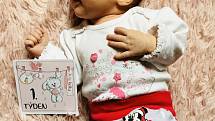 Andrea Hodanová z Klatov se narodila v klatovské porodnici 23. února v 7:47 hodin (3100 g, 50 cm) rodičům Lucii a Alešovi. Na malou sestřičku se těšila pětiletá Eliška.