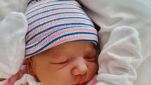 Julie Jirglová se narodila 27. února ve 20:20 mamince Tereze a tatínkovi Danielovi z Plzně. Po příchodu na svět v plzeňské FN vážila sestřička ročního Davídka 3200 gramů a měřila 48 centimetrů.
