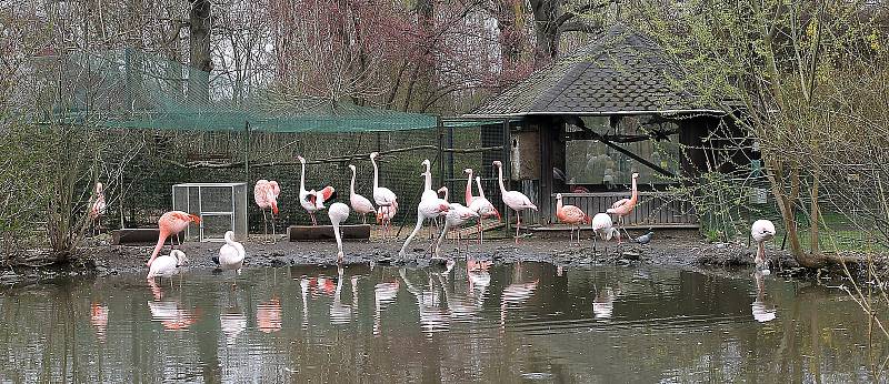 Do plzeňské zoologické zahrady dorazily jenom za sobotu více než dva tisíce návštěvníků.