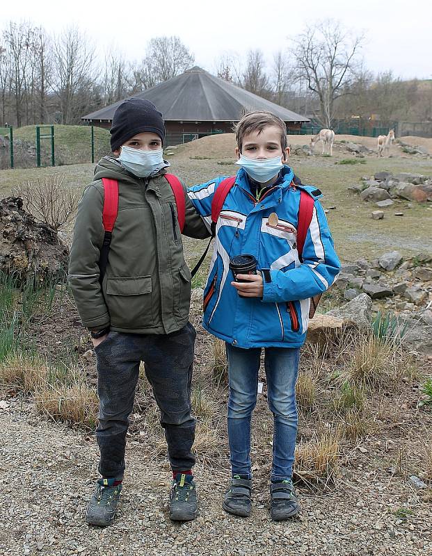 Do plzeňské zoologické zahrady dorazily jenom za sobotu více než dva tisíce návštěvníků.