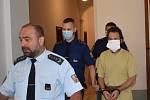 Krajský soud v Plzni potrestal Romana Vladaře za vraždu klatovského podnikatele Jiřího Žabky 16 lety vězení.