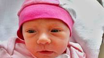 Adriana Vokounová se narodila 2. září v 1:39 mamince Andree a tatínkovi Jakubovi z Plzně. Po příchodu na svět v plzeňské FN vážila jejich prvorozená dcerka 2900 gramů.