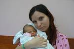 Andree Valenové a Lukáši Honzíkovi z Plzně se 8. prosince v 9.19 hod. narodila ve fakultní nemocnici prvorozená dcera Šárka (2,92 kg, 50 cm)