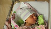Ella Rambousková (3760 g) přišla na svět v plzeňské fakultní nemocnici 29. října ve 14:13. Rodiče Radka a Miroslav z Kralovic přivítali očekávanou prvorozenou dceru společně.