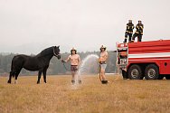 V charitativním kalendáři Eliška Váchalová netradičně spojila hasiče a koně. Snímky jsou z kalendáře i z jeho vzniku.