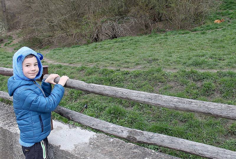 Do plzeňské zoologické zahrady dorazily jenom za sobotu více než dva tisíce návštěvníků.