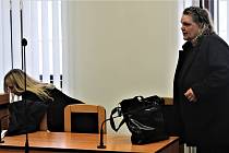 Iva Wastlová dostala při odvolacím řízení 24 měsíců nepodmíněně s odkladem na tři roky.