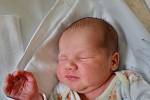 Ema Hánová se narodila 18. prosince v 7:48 mamince Zuzaně a tatínkovi Bohumilovi. Po příchodu na svět v plzeňské porodnici U Mulačů vážila sestřička ročního Hynečka 3110 gramů a měřila 48 centimetrů.