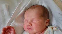 Ema Hánová se narodila 18. prosince v 7:48 mamince Zuzaně a tatínkovi Bohumilovi. Po příchodu na svět v plzeňské porodnici U Mulačů vážila sestřička ročního Hynečka 3110 gramů a měřila 48 centimetrů.